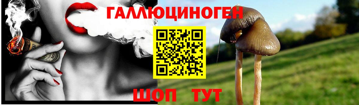 наркота  Псилоцибиновые грибы Psilocybine cubensis  Вход с VPN  Кинель  Псилоцибиновые грибы Psilocybine cubensis 